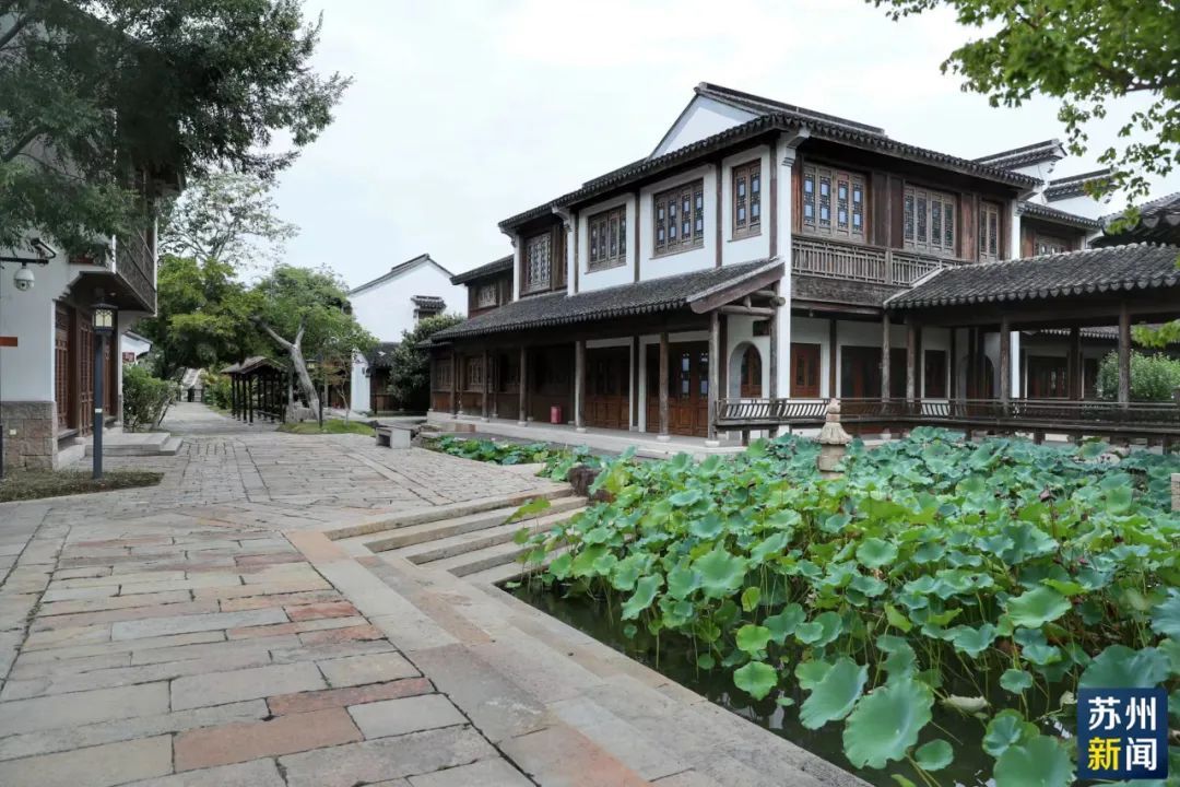 曹路宝专题调研古城保护有关工作-名城苏州新闻中心