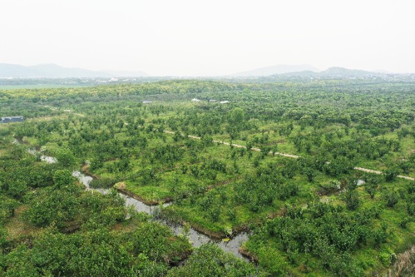 DJI_0778.JPG